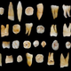 Imagen para el artículo titulado Hay seres humanos en China desde mucho antes que en Europa